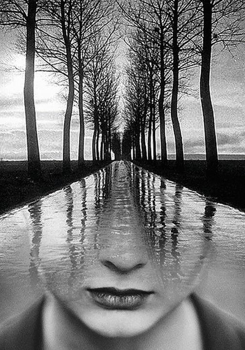 184777255 1057082441484189 300765834736146333 n